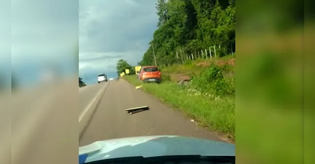 Imagem ilustrativa da notícia Motorista é flagrado dirigindo bêbado na Alça Viária; veja!