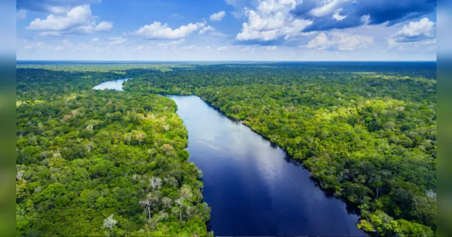 Imagem ilustrativa da notícia Amazônia bate recorde histórico de desmatamento, diz Inpe