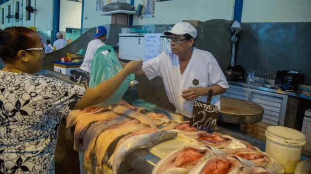 Imagem ilustrativa da notícia Belém: órgãos discutem preço de pescado na Semana Santa