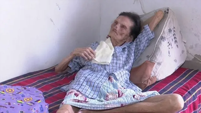Imagem ilustrativa da notícia Morre brasileira de 121 anos que seria a mais velha do mundo