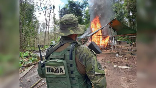 Imagem ilustrativa da notícia Vídeo: aeronave de garimpeiros é destruída em terra Yanomami