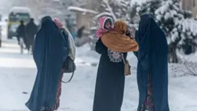 Imagem ilustrativa da notícia Dezenas morrem em onda de frio no Afeganistão