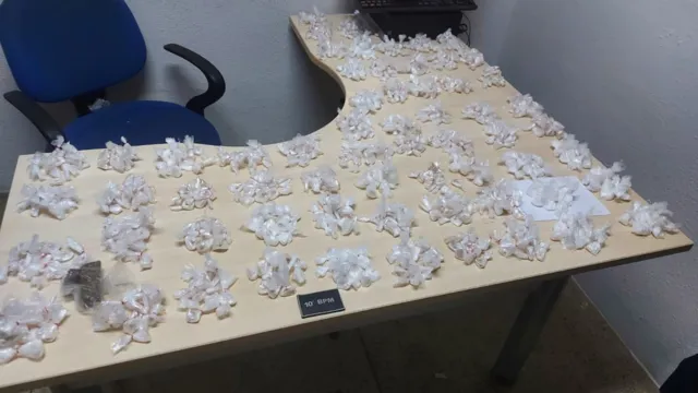 Imagem ilustrativa da notícia PM apreende 630 papelotes de cocaína e maconha em Icoaraci