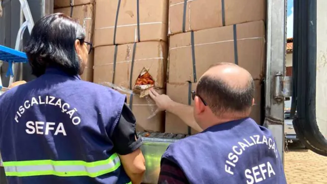 Imagem ilustrativa da notícia Carga com 17 toneladas de camarão é apreendida no Pará