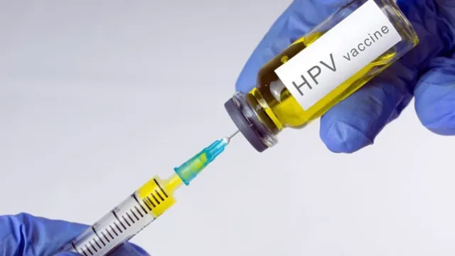 Imagem ilustrativa da notícia Nova vacina para HPV é lançada no Brasil