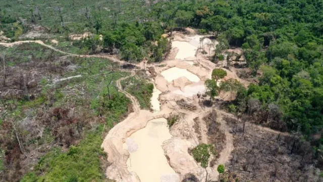 Imagem ilustrativa da notícia São Félix do Xingu: escavadeiras são apreendidas em garimpo