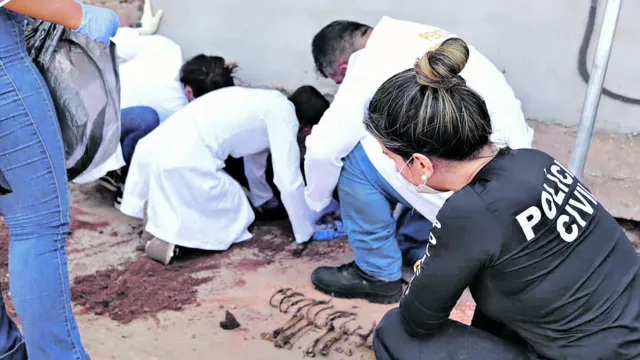 Imagem ilustrativa da notícia Polícia investiga mortes de cães após violência sexual