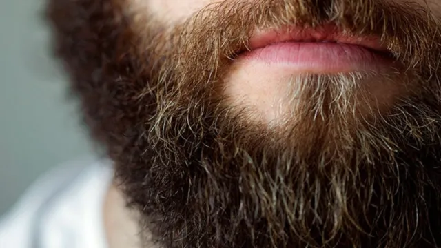 Imagem ilustrativa da notícia Você sabia? Beijar homens barbudos pode causar infecção