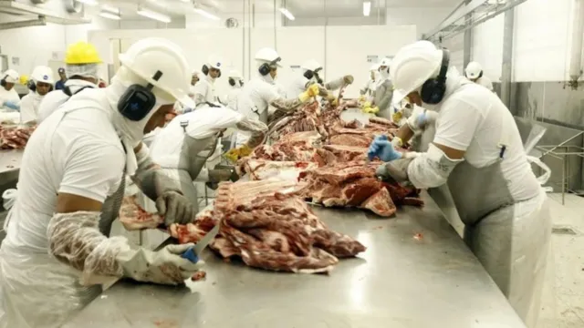 Imagem ilustrativa da notícia Vaca Louca: Brasil suspende exportação de carne para a China