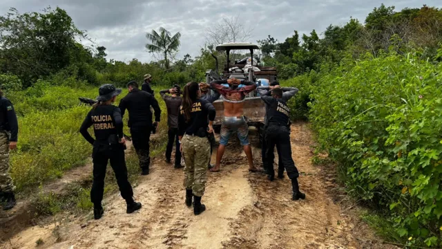 Imagem ilustrativa da notícia PF combate ação de madeireiros em terra indígena no Pará