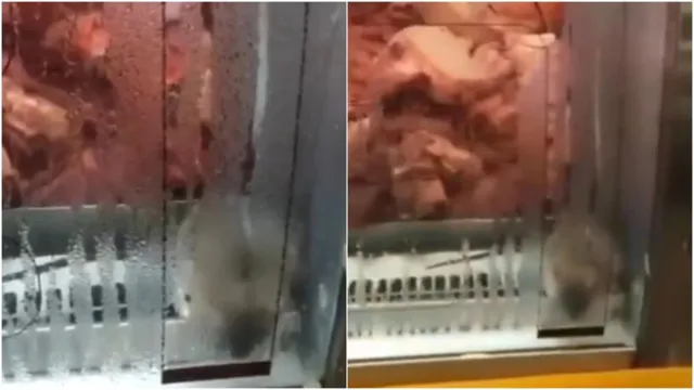 Imagem ilustrativa da notícia Rato é visto em expositor de carne no Piauí; veja o vídeo!