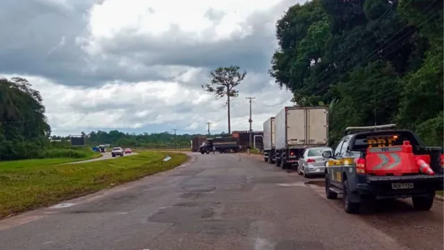Imagem ilustrativa da notícia Acidente com caminhão deixa bois soltos na BR-316