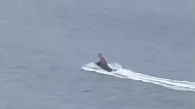 Imagem ilustrativa da notícia Vídeo: dinossauro é visto em jet ski no Balneário Camboriú