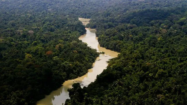 Imagem ilustrativa da notícia Fundo Amazônia: Alemanha repassará R$ 1 bilhão ao Brasil 