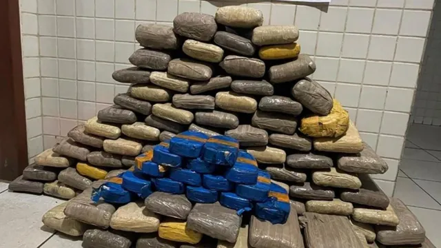 Imagem ilustrativa da notícia Grande quantidade de cocaína e maconha é apreendia no Pará