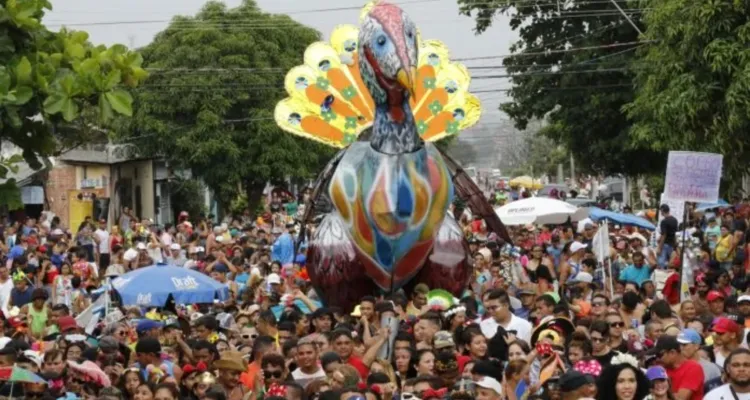 Imagem ilustrativa da notícia Rabo do Peru: bloco encerra o Carnaval em Icoaraci 