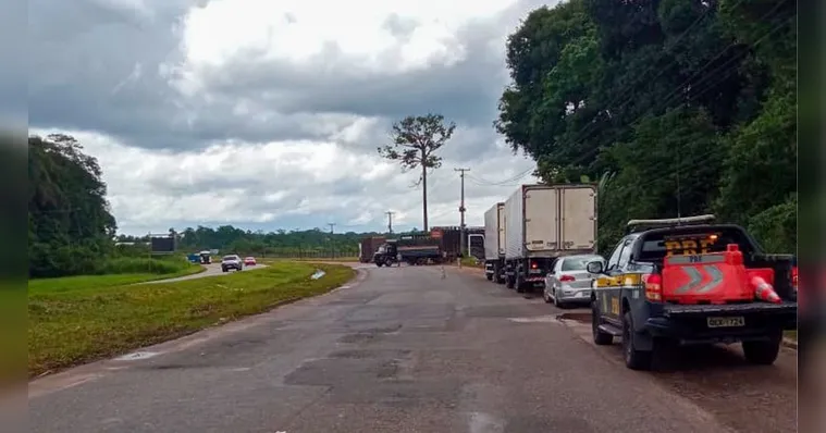 Imagem ilustrativa da notícia Acidente com caminhão deixa bois soltos na BR-316