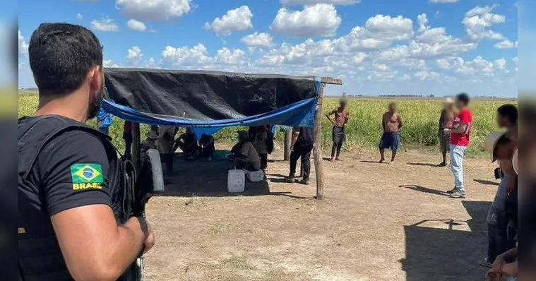 Imagem ilustrativa da notícia Jovens são encontrados em condição análoga à escravidão 