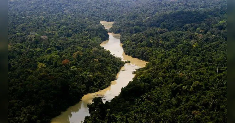 Imagem ilustrativa da notícia Fundo Amazônia: Alemanha repassará R$ 1 bilhão ao Brasil 