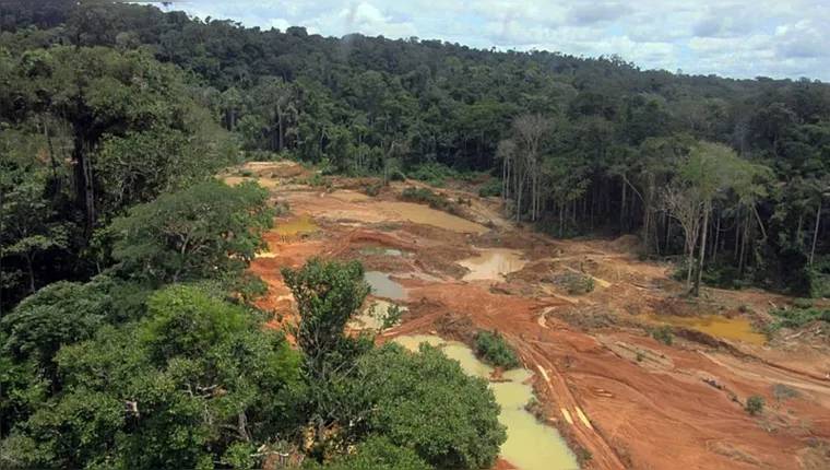 Imagem ilustrativa da notícia Mineração em terras indígenas subiu 1.217% em 35 anos