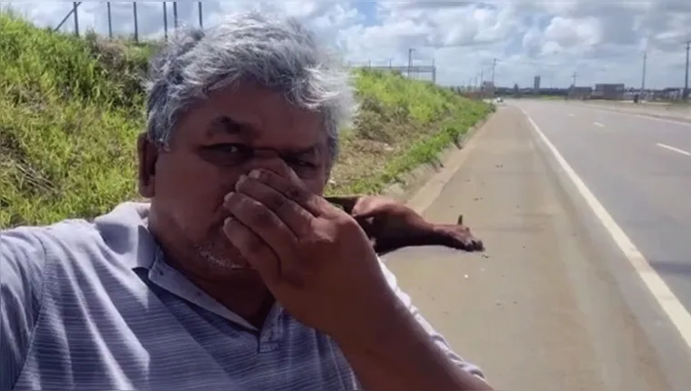Imagem ilustrativa da notícia Morte de égua termina com cena forte durante vídeo-selfie