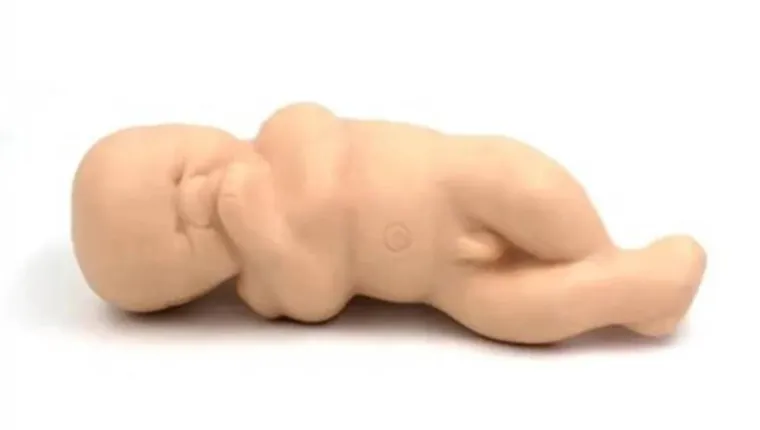 Imagem ilustrativa da notícia Brinquedo sexual em forma de "bebê" revolta web, veja!
