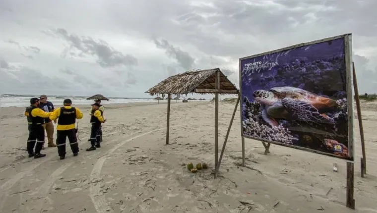 Imagem ilustrativa da notícia Praia do Atalaia terá zona de proteção para tartarugas