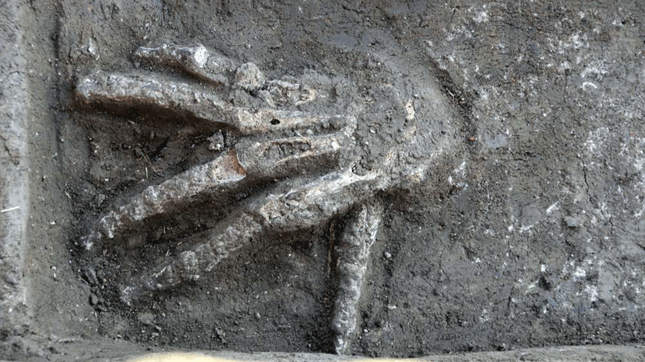 Poços cheios de mãos "gigantes" são descobertos no Egito