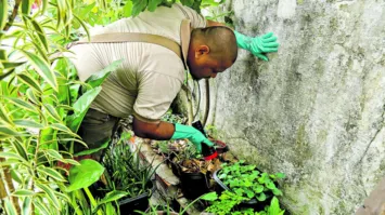 O acúmulo de água em recipientes é o ambiente perfeito para o Aedes aegypti se desenvolver. Por isso, equipes de fiscalização sanitária visitam residências com o objetivo de alertar moradores sobre os perigos