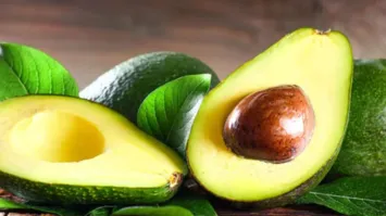 O abacate é ótimo pra para o aumento do libido sexual
