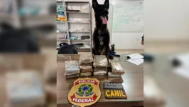Com o apoio do cão farejador Tauros da Guarda Municipal, PF encontra bagagem com drogas