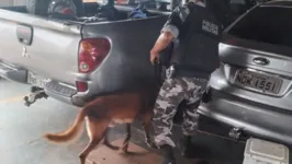 Durante a ação policial foram apreendidos 15 quilos de substâncias entorpecentes.