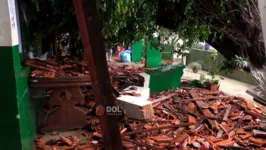 Chuva forte derrubou árvore que atingiu escola