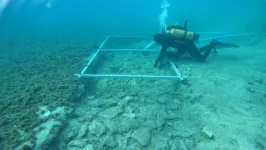 A antiga passagem tem vários metros de largura feita de lajes de pedra.