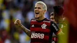 Saiba como assistir ao jogo do Flamengo hoje.