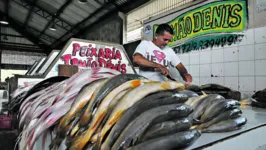 Belém, Pará, Brasil. Cidade. Compra do pescado na Semana Santa -  A qualidade do pescado é importante, o armazenamento e conservação fazem o produto se manter adequado para o consumo. 04/04/2023. Foto: Irene Almeida/Diário do Pará.