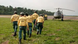 Ibama vai contratar brigadas para prevenir e combater incêndios