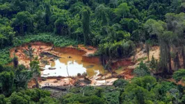 Garimpo em terra indígena