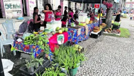 A feira e o acampamento estão montados na Praça Floriano Peixoto, em frente ao Mercado de São Brás