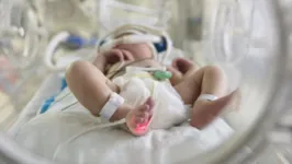 Os bebês avaliados pela pesquisa sofrem consequências pelo contato com a covid-19 desde que nasceram.