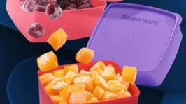 Tupperware chegou ao Brasil em 1976