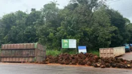 Caminhão com a carga tombou na pista.