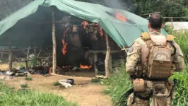 Imagem ilustrativa da notícia PF divulga resultados de operações em
terra Yanomami