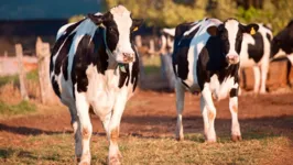 O jovem estava na fazenda com o seu pai, quando os dois foram atacados pelo animal