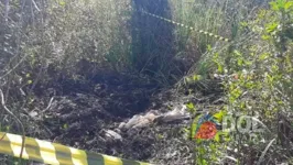 Corpo foi encontrado na manhã desta segunda-feira (10), as proximidades da área urbana de Xinguara, sul do Pará