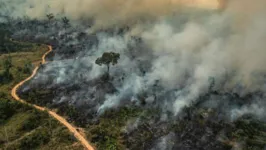 A amplificação do desmatamento, sobretudo na Amazônia, é o principal da alta na emissão de gases, Segundo Ipam.