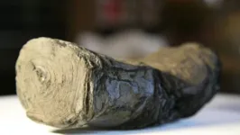 Pergaminho carbonizado pelo monte Vesúvio podem ser desvendados