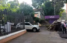 Imagem ilustrativa da notícia Árvore cai em frente ao Colégio Gentil, em Belém