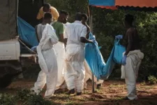 Corpos foram encontrados em floresta