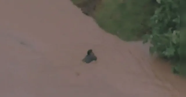 Imagem ilustrativa da notícia Homem desaparece arrastado por enchente durante ao vivo